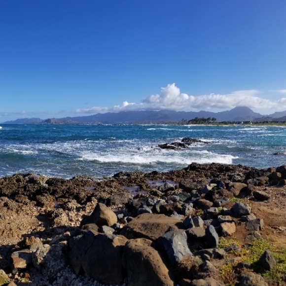 Meet your Posher, Leann - Picture 3 of 3